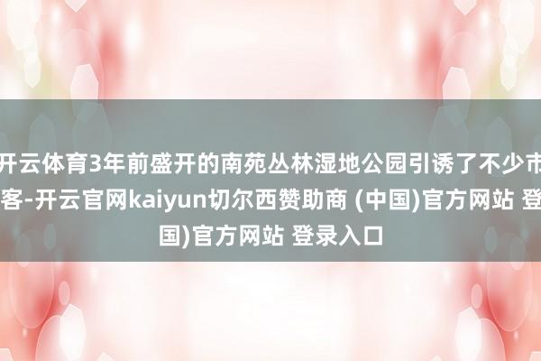 开云体育3年前盛开的南苑丛林湿地公园引诱了不少市民和搭客-开云官网kaiyun切尔西赞助商 (中国)官方网站 登录入口