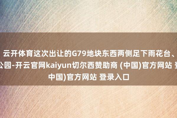 云开体育这次出让的G79地块东西两侧足下雨花台、菊花台公园-开云官网kaiyun切尔西赞助商 (中国)官方网站 登录入口
