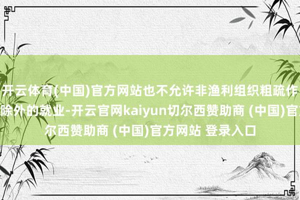 开云体育(中国)官方网站也不允许非渔利组织粗疏作念限度渔利组织除外的就业-开云官网kaiyun切尔西赞助商 (中国)官方网站 登录入口