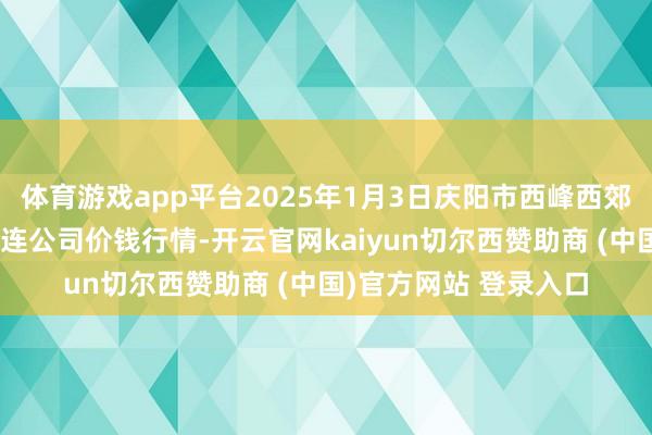 体育游戏app平台2025年1月3日庆阳市西峰西郊瓜果蔬菜批发有限株连公司价钱行情-开云官网kaiyun切尔西赞助商 (中国)官方网站 登录入口