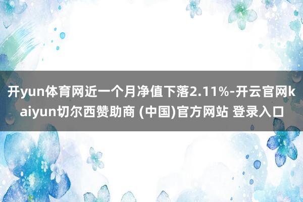 开yun体育网近一个月净值下落2.11%-开云官网kaiyun切尔西赞助商 (中国)官方网站 登录入口