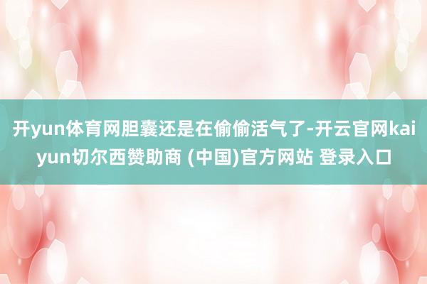 开yun体育网胆囊还是在偷偷活气了-开云官网kaiyun切尔西赞助商 (中国)官方网站 登录入口