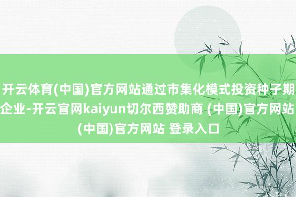 开云体育(中国)官方网站通过市集化模式投资种子期、初创期企业-开云官网kaiyun切尔西赞助商 (中国)官方网站 登录入口