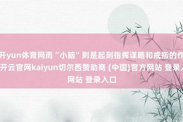 开yun体育网而“小脑”则是起到指挥谋略和戒指的作用-开云官网kaiyun切尔西赞助商 (中国)官方网站 登录入口