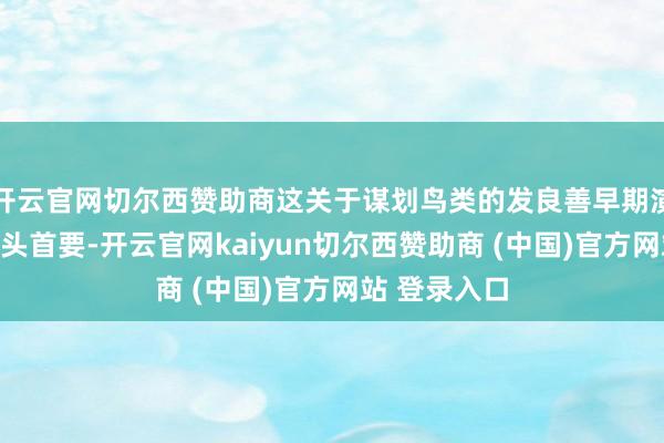 开云官网切尔西赞助商这关于谋划鸟类的发良善早期演化的意旨尽头首要-开云官网kaiyun切尔西赞助商 (中国)官方网站 登录入口