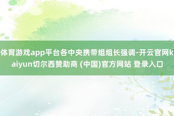 体育游戏app平台各中央携带组组长强调-开云官网kaiyun切尔西赞助商 (中国)官方网站 登录入口