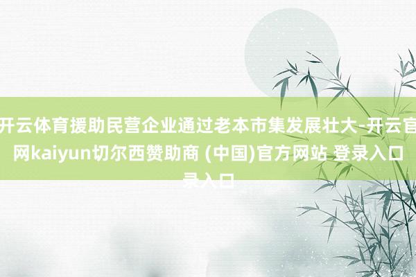 开云体育援助民营企业通过老本市集发展壮大-开云官网kaiyun切尔西赞助商 (中国)官方网站 登录入口